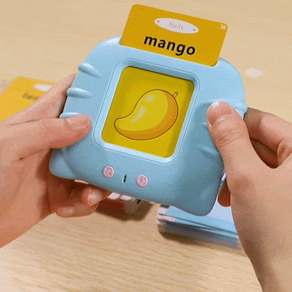 Talking Flash Cards